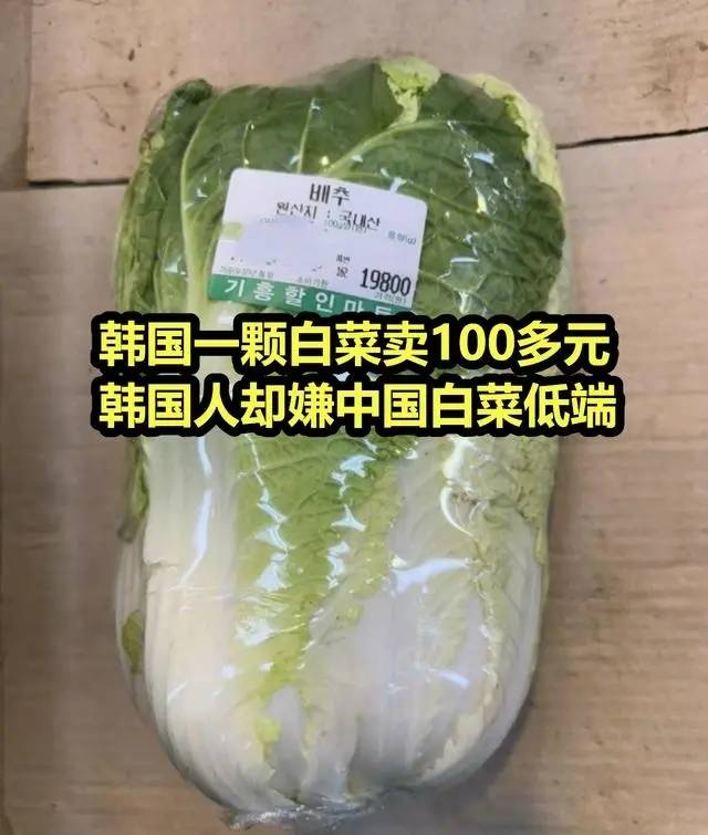 一棵白菜达80元人民币，韩国人用卷心菜娃娃菜代替大白菜
