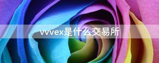 vvvex是什么交易所