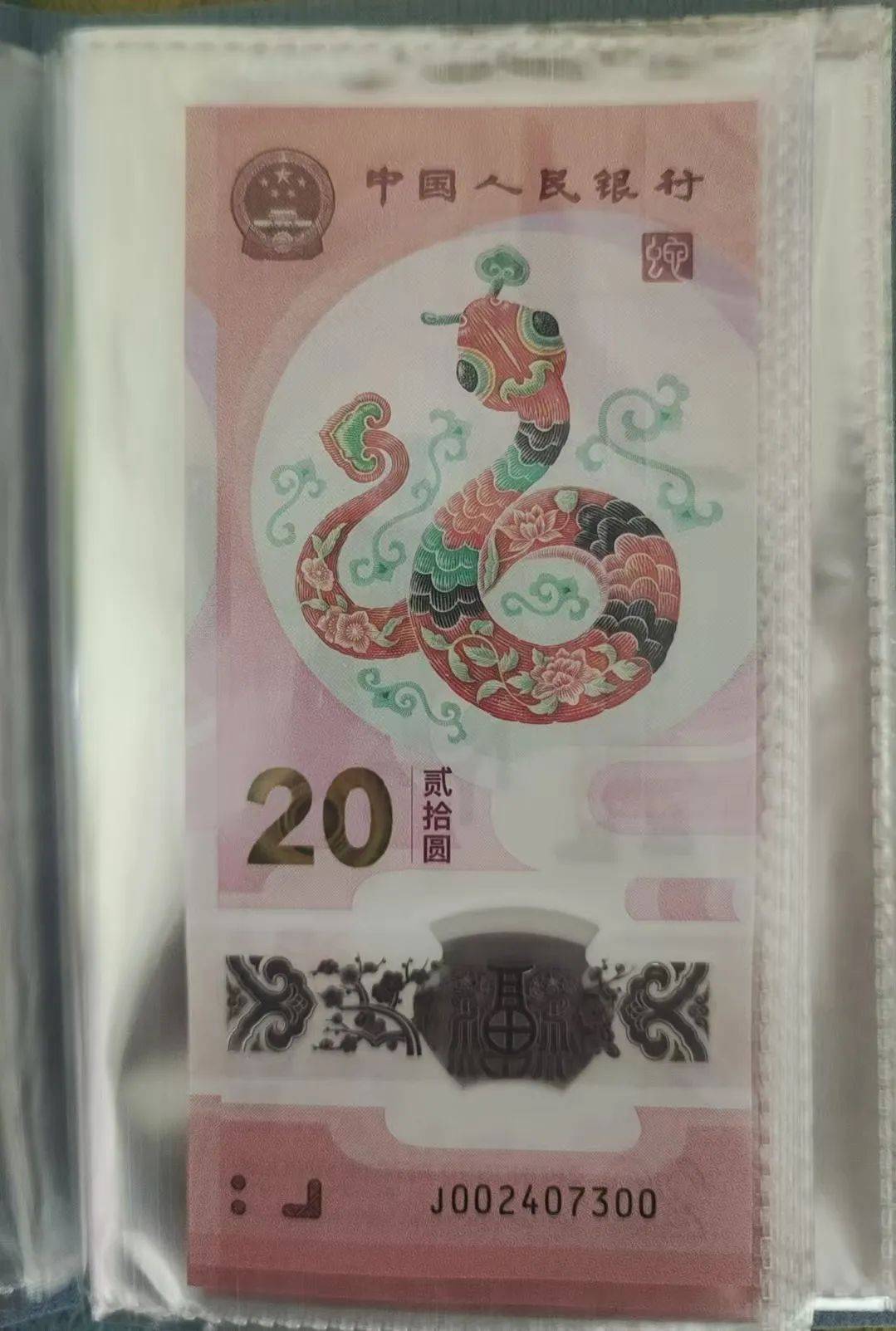 蛇钞蛇币兑换开启！大学生为了利益快速出手！能被炒到多高？