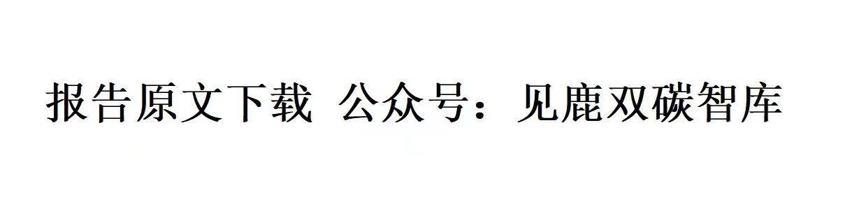 分布式资源虚拟电厂运行控制技术展望