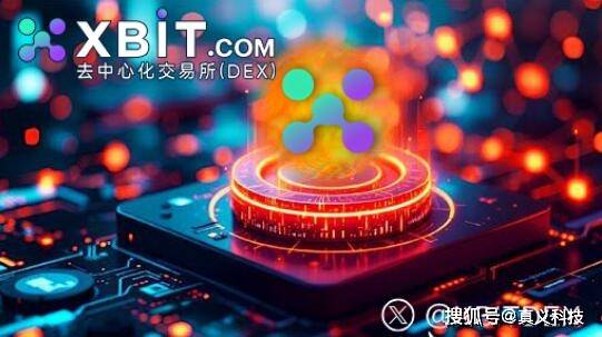 MEME币有哪些？XBIT带你解读监管草案下的投资新趋势