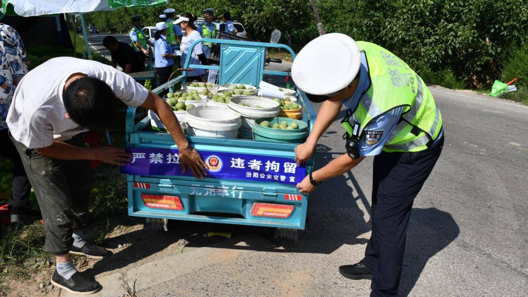 汾阳：核桃满枝丰收景 交警田间织密 “安全网”