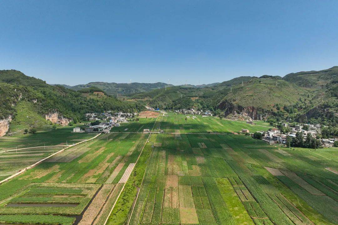威宁：以“特”为笔 以“链”为墨 汇聚产业高质量发展动能