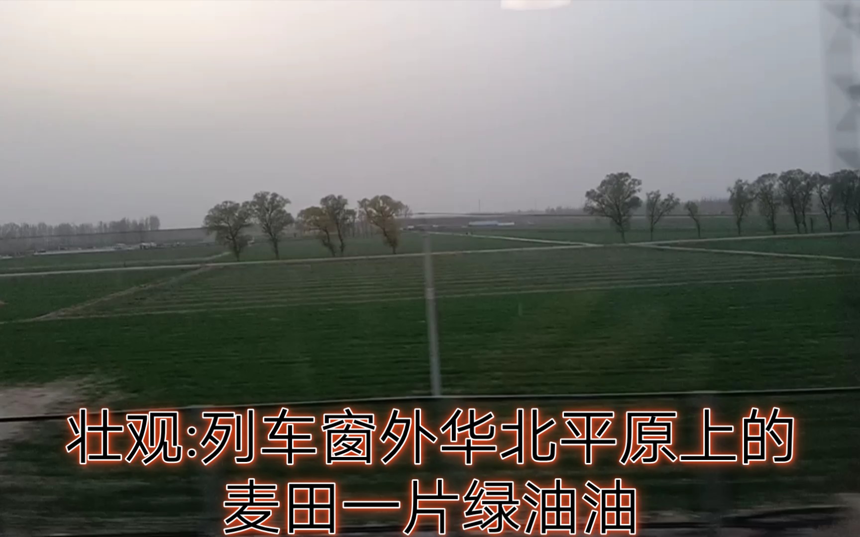 平原油厂(平原石油公司)