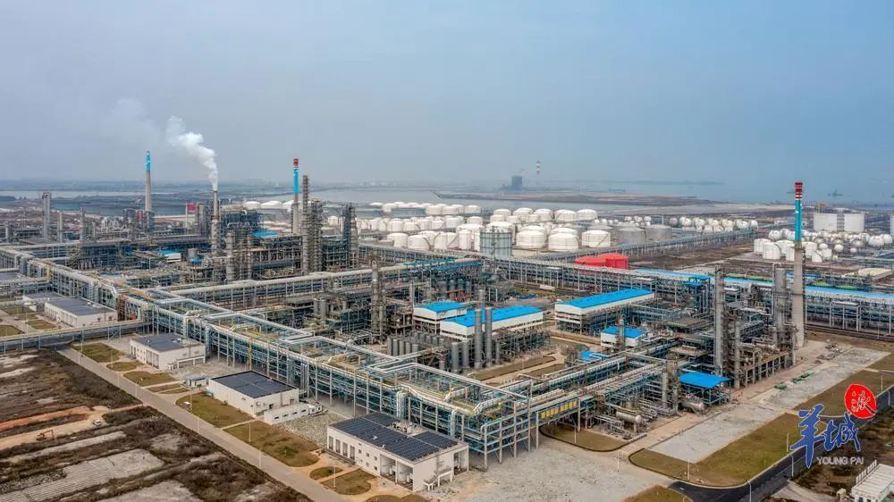 湛江进原油(湛江石油价格查询)