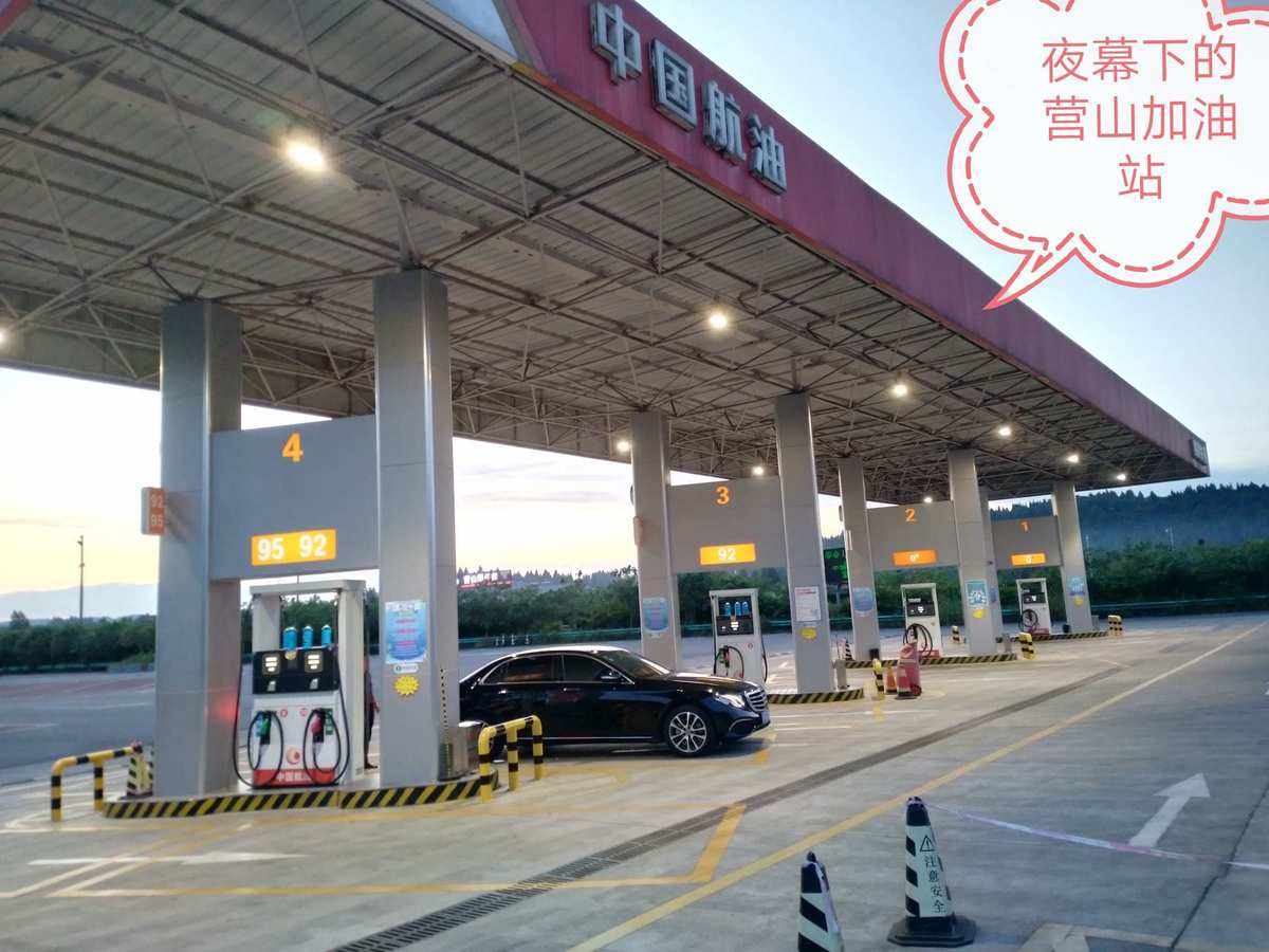 高原油站(青藏高原油气资源)