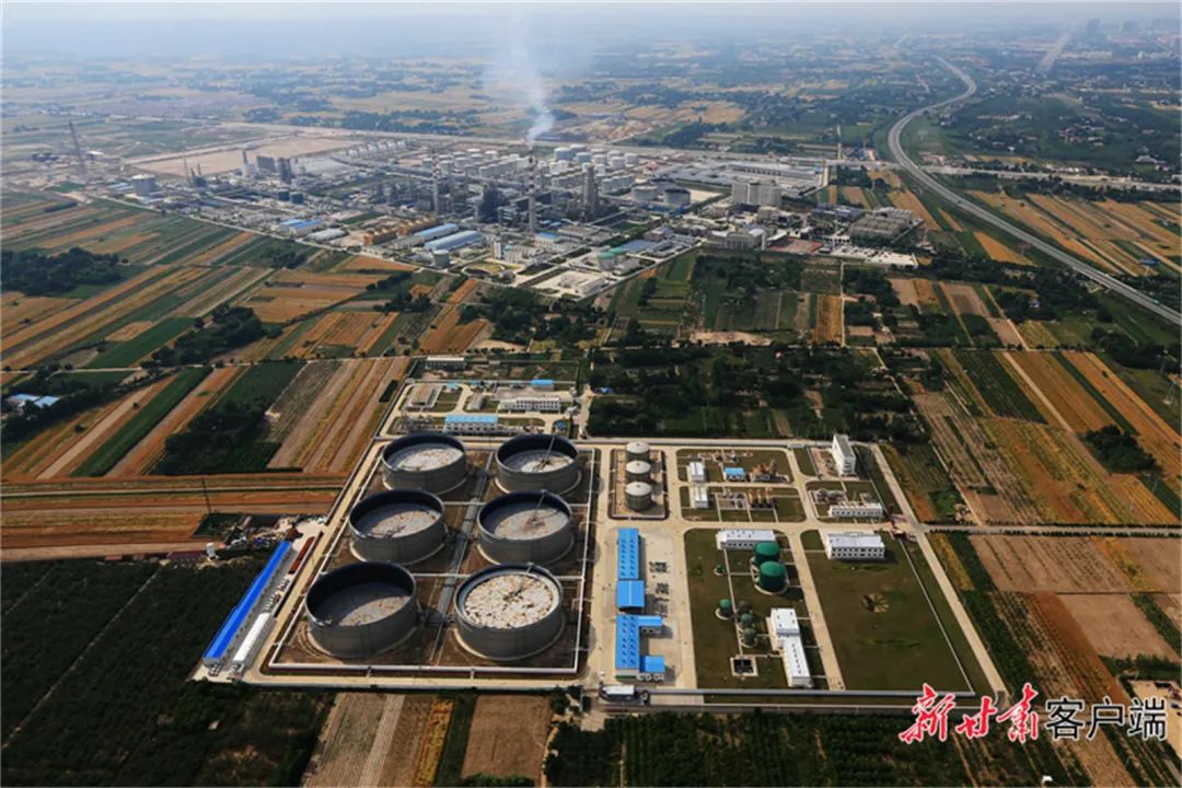 庆阳收购原油(庆阳哪里出石油)