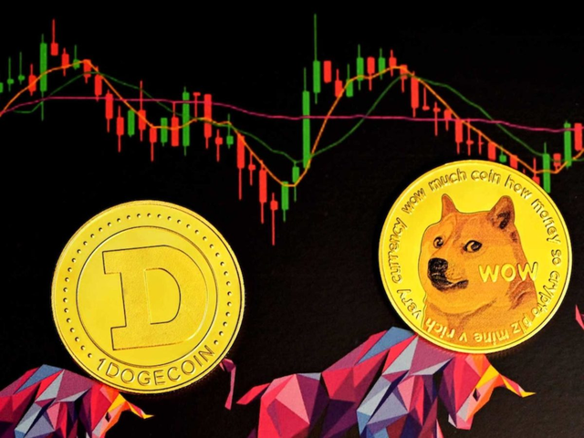 shib2022币涨了多少倍的简单介绍