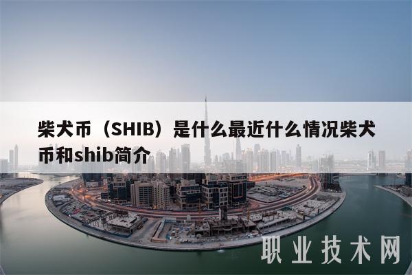 shib币啥时候发行的(shib币发行时间和价格)