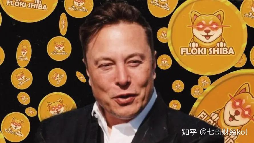 shib是马斯克喊单的币吗(马斯克喊单baby doge)