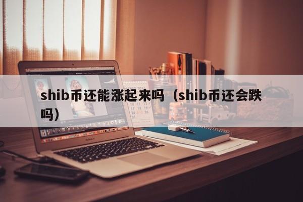 播放shib币台(shib币教程)
