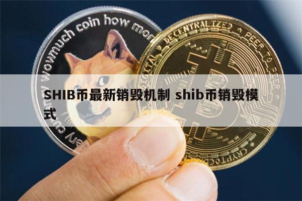shib币2021年(shib币2021年涨幅)