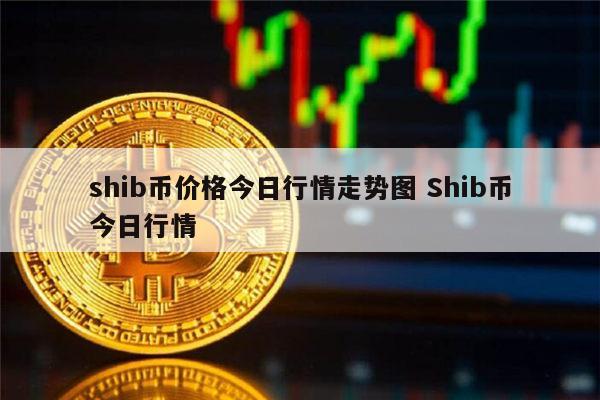 关于shib币当时买1000的信息