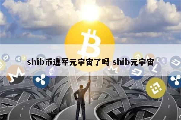 shib币发行(shib币发行价格)