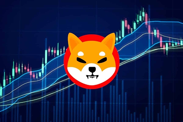 币圈SHIB最新消息(币圈最新消息coinfalcon)