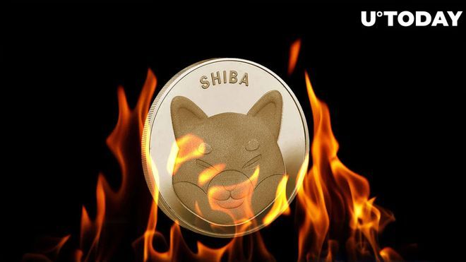 币圈SHIB最新消息(币圈最新消息coinfalcon)