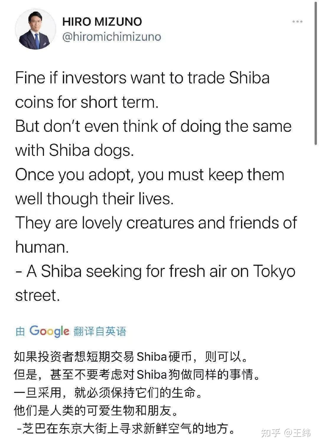 shib币退市(shib币暴跌怎么回事)
