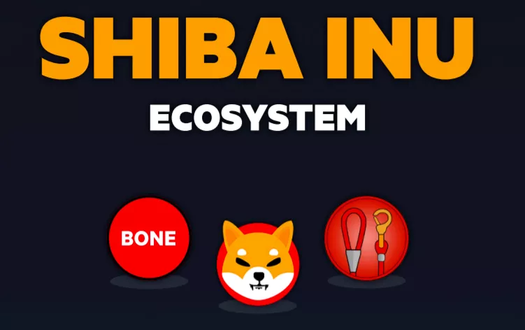 shib币退市(shib币暴跌还会涨吗)