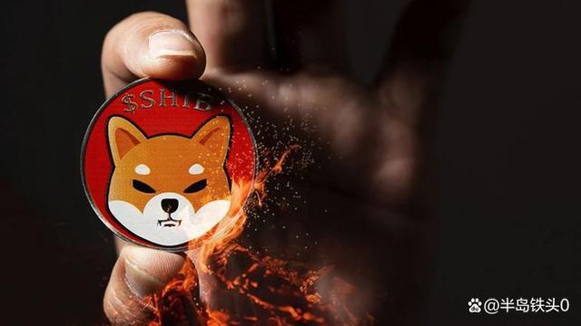 shib币的燃烧(shib币燃烧机制)