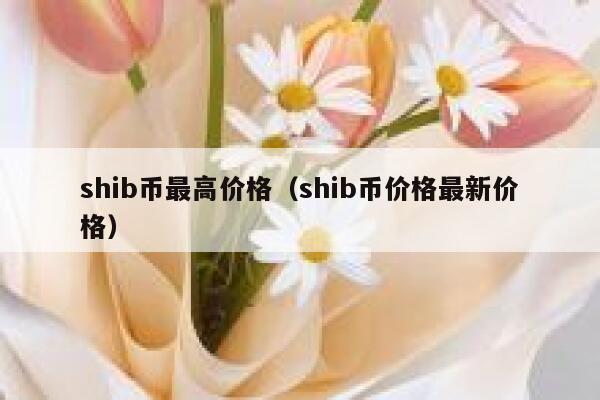 shib币有什么优势(shib币未来到底有没有价值)