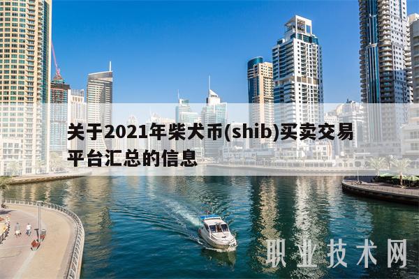 shib币2021年(shib币2021年行情走势)