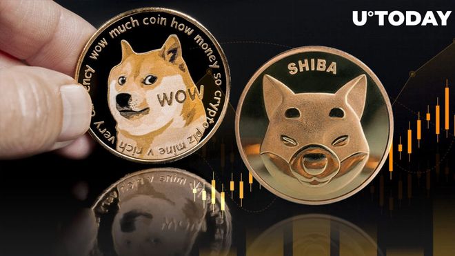 狗币shib(狗币屎币能变现吗)