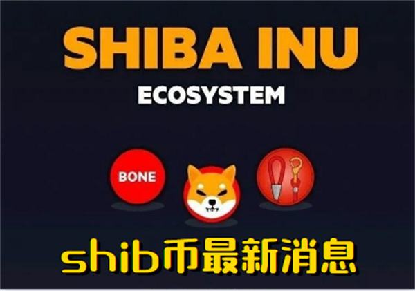 shib币那个国家发行(shib币是哪个国家发行的)