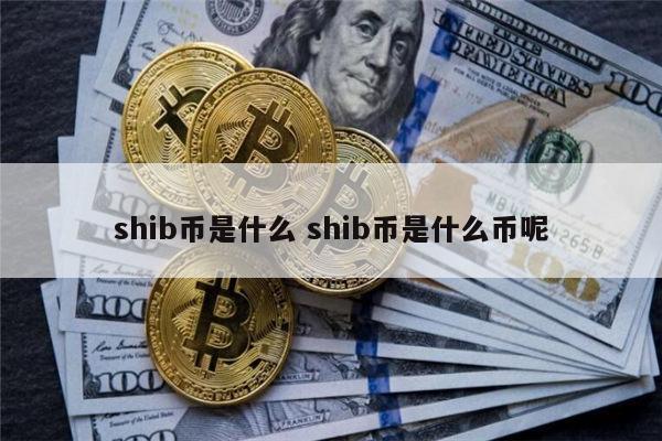 shib币涨疯了(shib币能涨到1块钱吗)