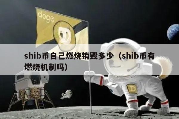 shib虚拟币(SHIB虚拟币价格)