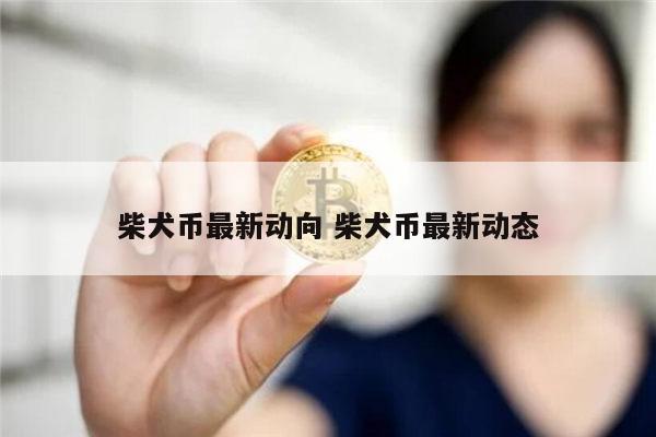 shib币2021年(shib币2021年价格)