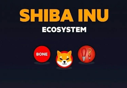 shib币2021年(shib币2021年涨了多少倍)
