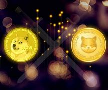 shib币2021年(shib币2021年3月价格)